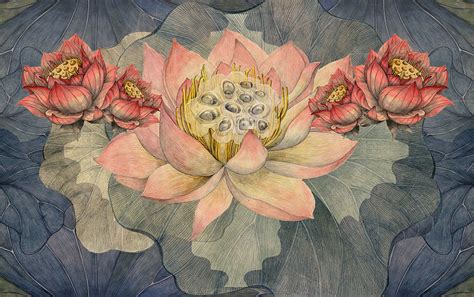Lotus On Behance Lotus Painting Flower Drawing China Art