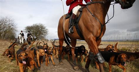 Participants Accept Inherent Risks Of Fox Hunting