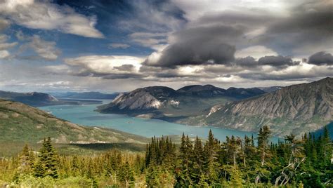 Take A Yukon Territory Scenic Drive Skagway Tours