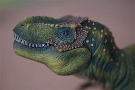 Free Images Portrait Green Predator Fauna Close Up Tyrannosaurus