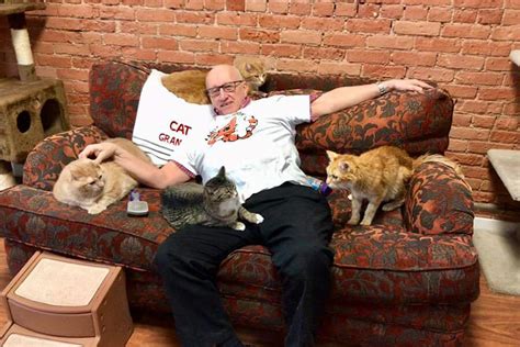 ‘cat Grandpa Shares Love Companionship And Naps With Shelter Cats