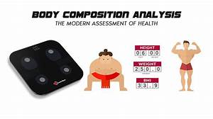 Body Composition Analysis The Modern Assessment Of Health