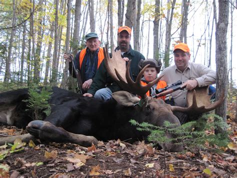 Maine Moose Hunting Maine Moose Guides Maine Moose Hunting Outfitters