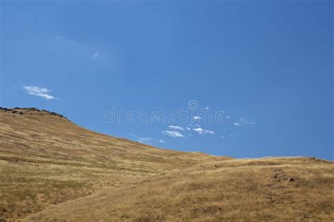 Rolling Hillside Stock Photo Image Of Green Countryside 146210