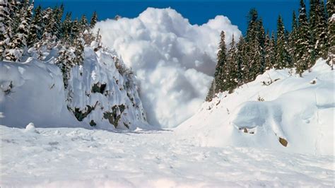 All About Avalanche Safety Scout Life Magazine