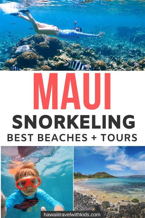 Maui Snorkeling Guide Best Maui Beaches Snorkeling Tours Maui