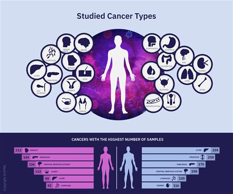 Massive Genetic Map Of Cancer Mutations Cataloged Available To