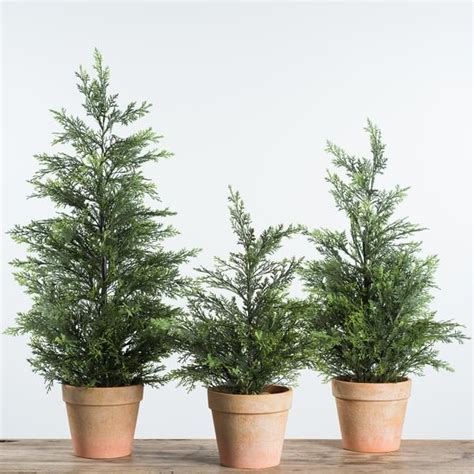Give A Little Life To Any Corner Or Surface With Our Faux Potted Cedar