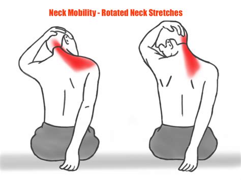 Effective Neck Stretching Exercises For Flexibility And Relief