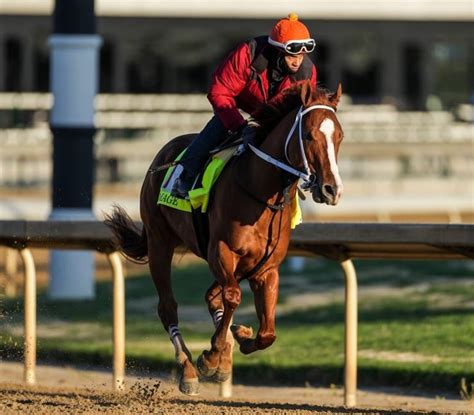 Ny Times Kentucky Derby 2023 Expert Picks And Predictions