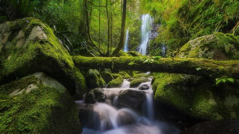 Landscape View Of Waterfalls Algae Covered Wood Logs Stones Green Trees