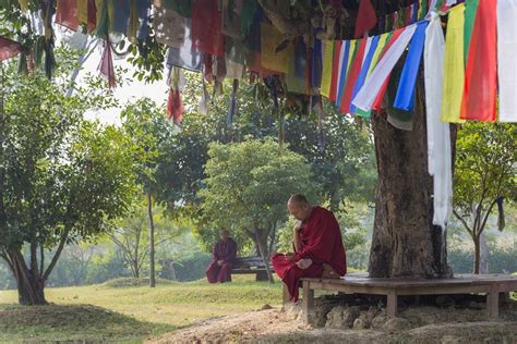 Monks Sit And Meditate Under A Tree In Mayadevi Temple In Lumbini Nepal Buddhism