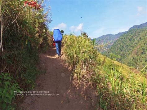 Pendakian Gunung Argopuro 3 088 Mdpl Via Baderan Bremi Manusia Lembah