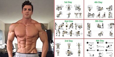 Total Body Workout Routine And How To Set Up Your Workout For Optimal
