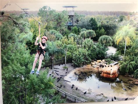 Visiting Gatorland In Orlando Florida Ziplining At Gatorland