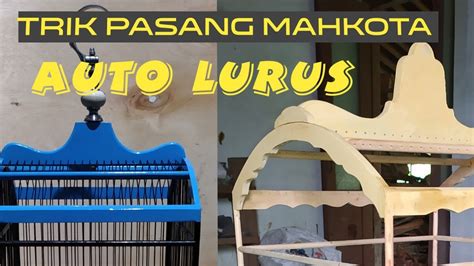Memelihara burung telah menjadi semenjak dulu. cara pasang mahkota#sangkar burung - YouTube