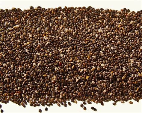 I've been using chia seeds in drinks and as an egg substitute in recipes for years. Comprehensive Information on Chia Seeds in Hindi and Other ...