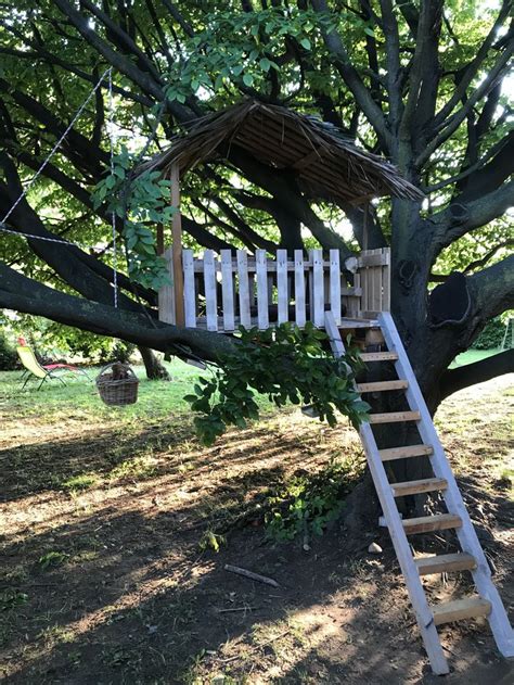 A Tree House Built Into The Side Of A Tree With Stairs Leading Up To It