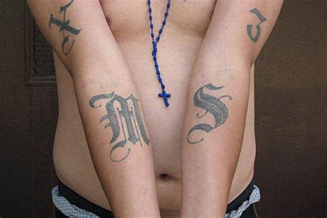 Ms 13 Gang Why Us Treasury Is After The Gangs Assets