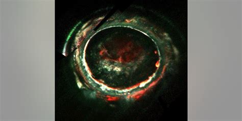 Whats Powering Auroras On Jupiter Nasas Juno Probe Finds Puzzling