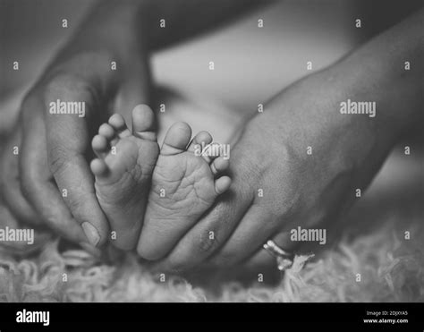 Hand Holding Newborn Baby Feet Softness Hi Res Stock Photography And