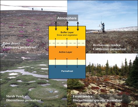 Arctic Permafrost Landscapes In Transition Towards An Integrated Earth
