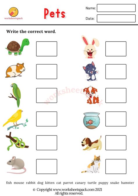 Free Pets Worksheets Worksheetspack