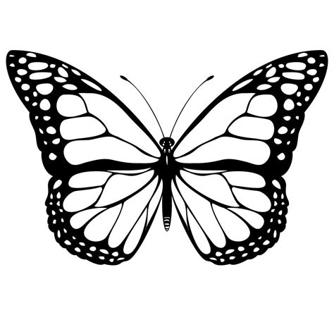 Pix For Mariposas Monarcas Para Colorear Butterfly Clip Art