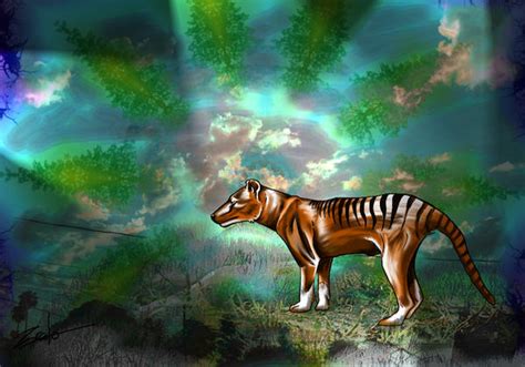 Thylacine By Zrcalo Sveta On Deviantart