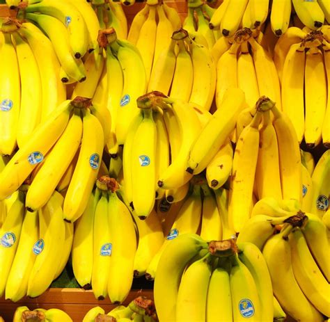 Bananenspinnen: Aktuelle News, Bilder & Infos - WELT