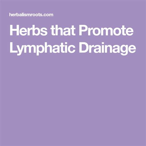 Herbs That Promote Lymphatic Drainage Lymphatic Lymphatic Drainage