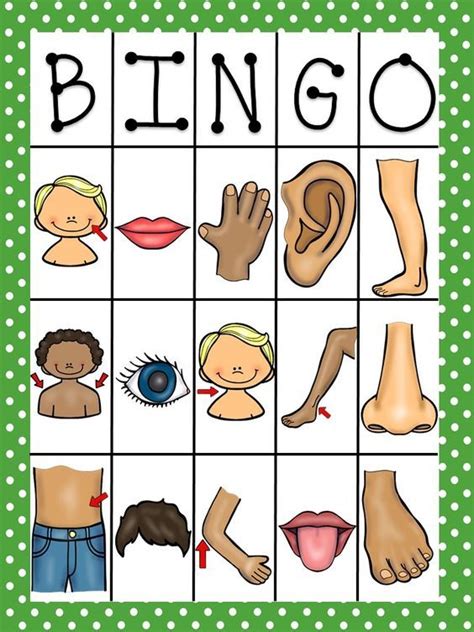 Body Parts Bingo In Spanish Is A Great Way To Practice And Review Body