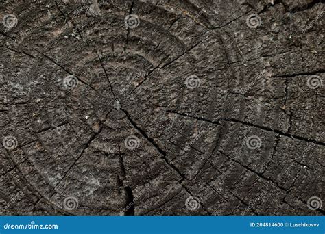 Wooden Pattern Of A Slice Of The Old Rotten Timber Stock Photo Image