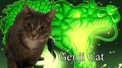 Overwatch ~ Genji Cat Youtube