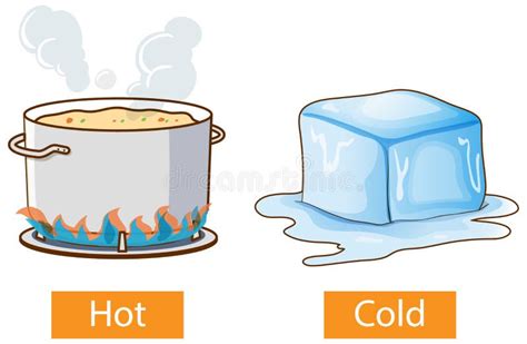 Words Hot And Cold Flashcard With Cartoon Characters Opposite