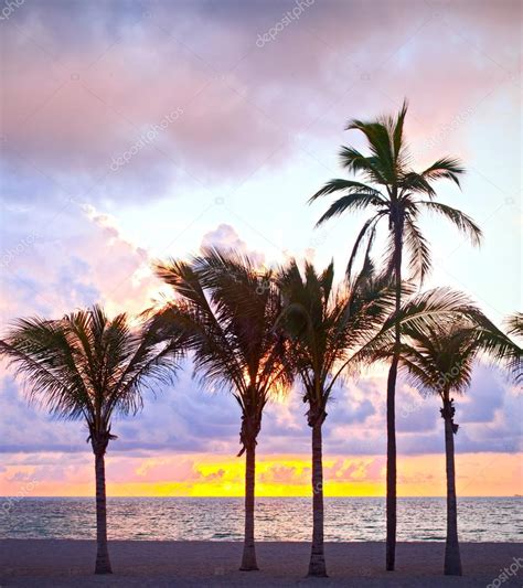 Miami Beach Florida Verano Colorido Amanecer O Puesta De Sol Con
