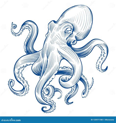 Vintage Octopus Hand Drawn Squid Engraved Ocean Animal Etching