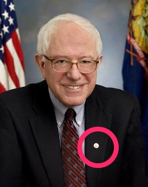 What Kind Of Pin Is Bernie Sanders Wearing Whatisthisthing