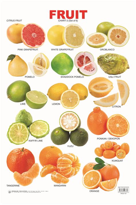 Citrus Fruit Chart Citrus Fruit List Fruit And Veg Citrus Fruits Fruits And Vegetables List