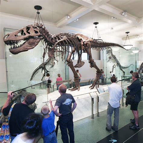 Dinosaur Exhibits American Museum Of Natural History