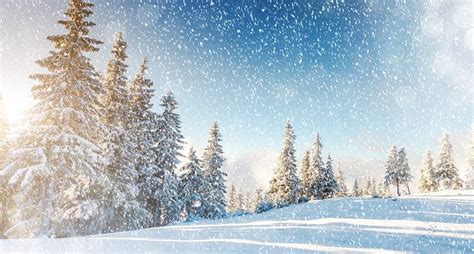 Tipos De Nieve ¿cuál Se Adapta Mejor A Tu Nivel De Esquí Esquiades Blog