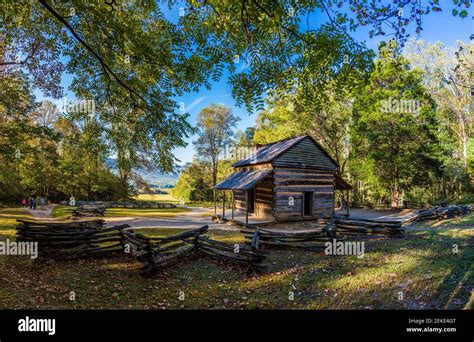 Log Cabin In Forest John Oliver Place Cades Cove Great Smoky