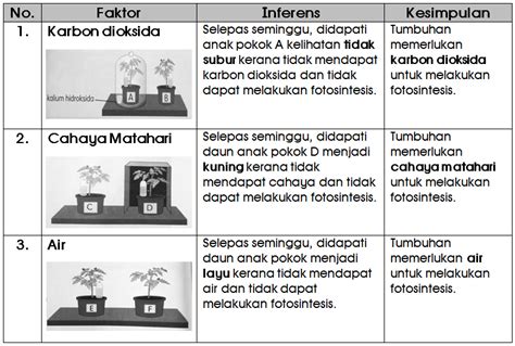 Di sini juga admin kongsikan modul pdpr sains yang membantu murrid tampa akses internet bagi murid tahun 1, 2, 3. Nota Sains Tahun 4 Unit 5: Proses Hidup Tumbuhan - Chang ...