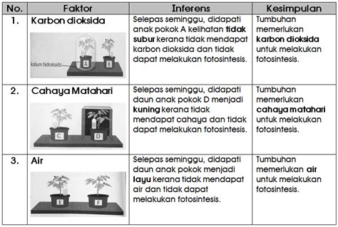 Rph sains tingkatan 4 rph sejarah tingkatan 4 kssm 2020 rpi bahasa melayu pendidikan khas rpt bahasa melayu. Nota Sains Tahun 4 Unit 5: Proses Hidup Tumbuhan - Chang ...