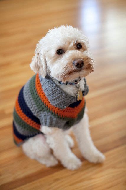 Ravelry Dog Coat Pattern By Bernat Design Studio Crochet Dog Sweater