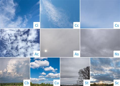 The Ten Different Types Of Clouds Infographic Oc Rclouds
