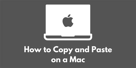 How To Copy And Paste On A Mac Software Tools