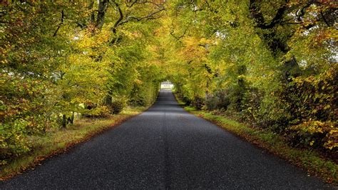 Download Wallpaper 1366x768 Trees Road Autumn Scotland Tablet Laptop Hd Background