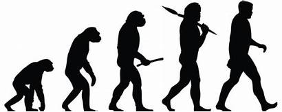 Humans Evolution Wsj Evolut Creativity