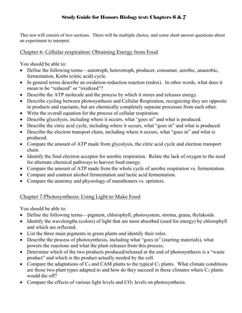 Honors Biology Cellular Respiration Worksheet Answers Thekidsworksheet